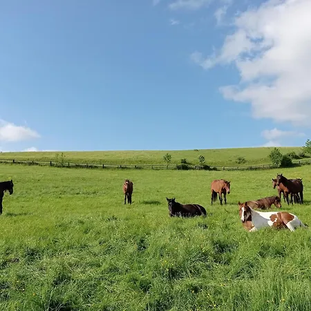 Daire Goldgrube - 5 - 140qm Am Fluss *