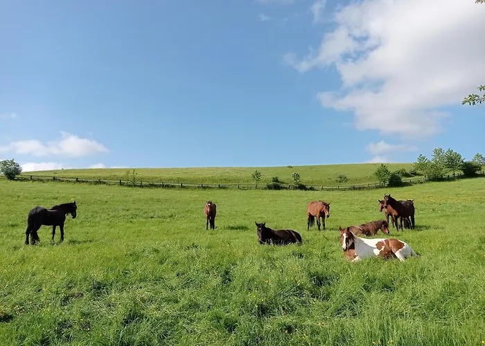 Apartamento Goldgrube - 5 - 140qm Am Fluss *